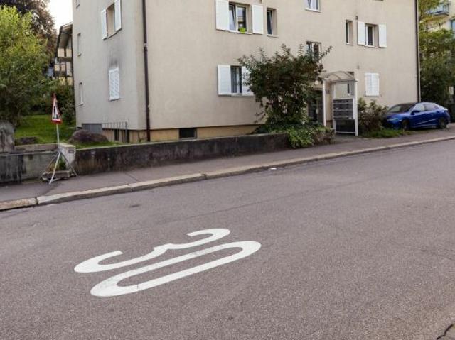 2 Zimmer Wohnung in Altstetten Zürich