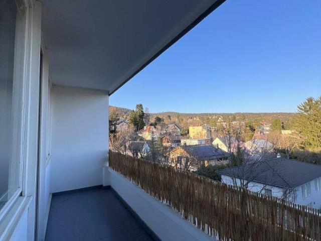 2 ZIMMER WOHNUNG IN BADEN NÄHE STRANDBAD MIT BLICK AM MITTERBERG PROVISIONSFREI !