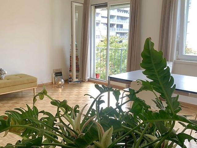 2 Zimmer Wohnung in Basel Klybeck, möbliert, auf Zeit