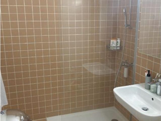 2½ Zimmer Wohnung in Carouge GE, möbliert, auf Zeit