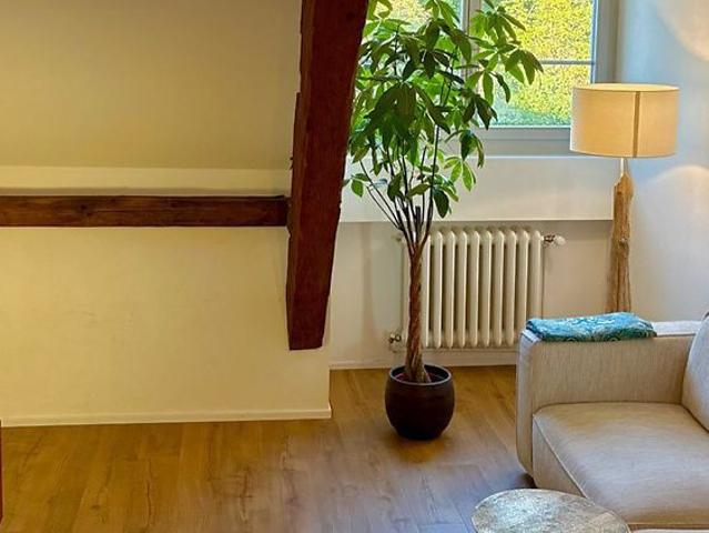 2½ Zimmer Wohnung in Fribourg, möbliert, auf Zeit