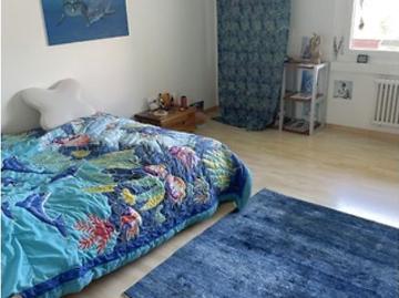2½ Zimmer Wohnung in Luzern, möbliert, auf Zeit