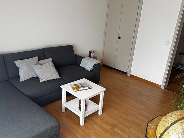 2½ Zimmer Wohnung in Thun BE, möbliert, auf Zeit