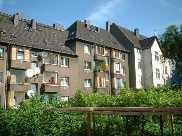 Karl-Marx-Platz, Bochum, Papenholz