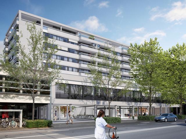 2 Zimmer Wohnung in Zug mieten