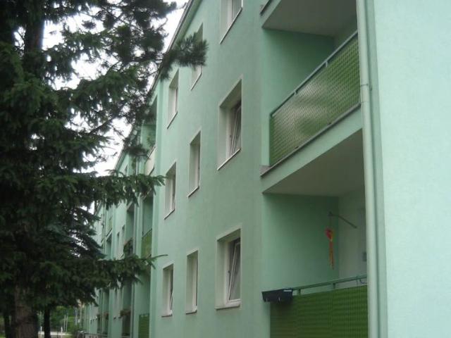 2 Zimmer Wohnung, Top 5