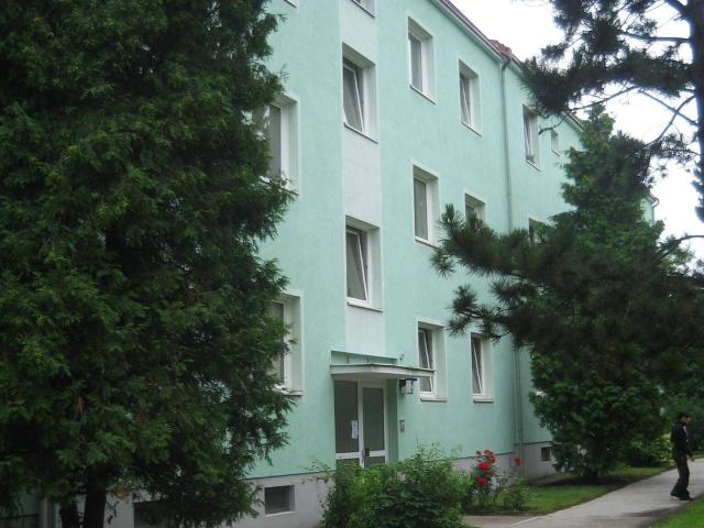 2 Zimmer Wohnung, Top 5