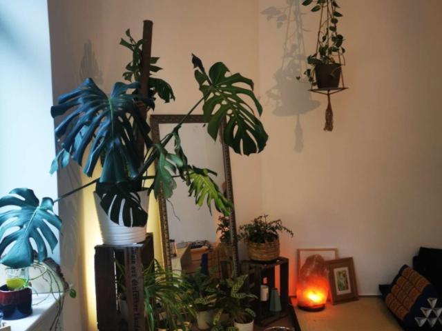 2 Zimmer Wohnung zur Untermiete / City Apartment to sublet