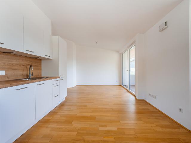 2 Zimmer Wohnung zur Miete in Rauris