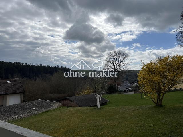 2 Zimmer Wohnung, 58,7 qm EBK, Balkon