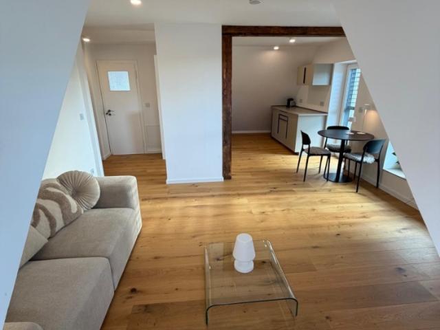 2 Zimmer Apartment im Dachgeschoss mit Skylineblick in Frankfurt Sachsenhausen