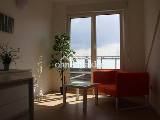 2 Zimmer Apartment mit Dachterrasse, teilmöbliert