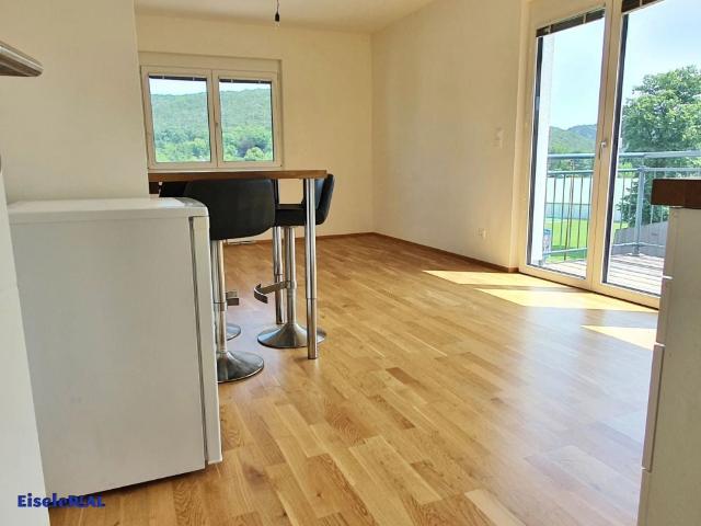 2 Zimmer Balkon inkl. Parkplatz Top 9 zzgl. Heizung