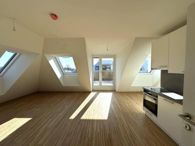 2 Zimmer Dachgeschosswohnung mit sehr geräumigem Wohnzimmer Erstbezug + Provisionsfrei!