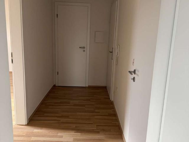 2 Zimmer DG Wohnung frisch renoviert zu vermieten