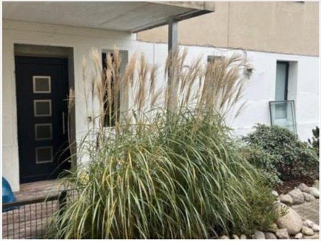 2 Zimmer EG Wohnung mit Terrasse & neuem Wintergarten