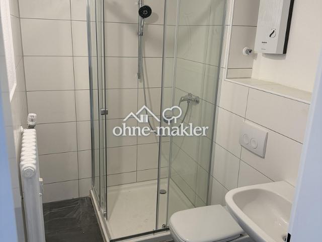 2 Zimmer EG Wohnung mit Balkon kernsaniert 63qm
