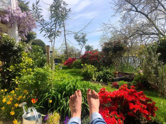 2 Zimmer Eigentumswohnung mit Garten & Terrasse direkt am Rhein