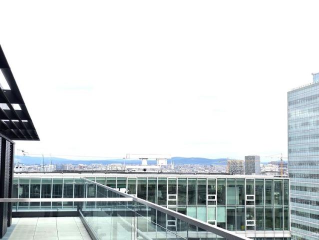 2 Zimmer High End Apartment mit Terrasse bei der UNO City! ERSTBEZUG! DC FLATS