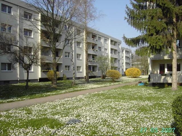 2 Zimmer, Küche, Bad, Loggia, 1.OG rechts
