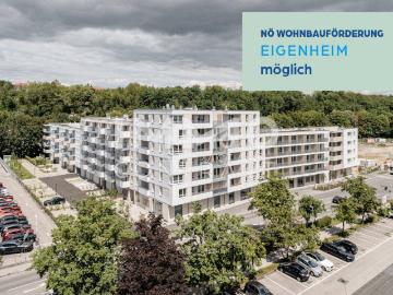 2 Zimmer mit 50m² großer Terrasse!