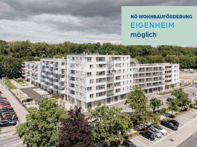 2 Zimmer mit 50m² großer Terrasse!