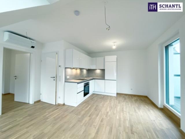 2 Zimmer mit Klimaanlage und Terrasse | Ruhelage | Badeteich Hirschstetten in Fußnähe
