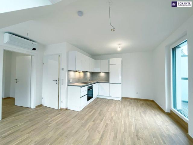 2 Zimmer mit Klimaanlage und Terrasse | Ruhelage | Badeteich Hirschstetten in Fußnähe