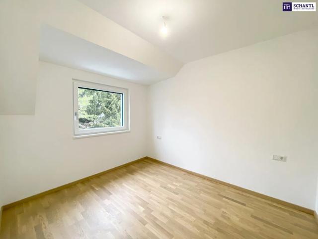 2 Zimmer mit Klimaanlage und Terrasse | Ruhelage | Badeteich Hirschstetten in Fußnähe