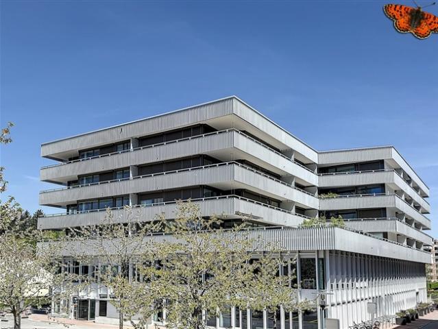2½ ZIMMER Neu mit Balkon