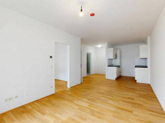 2 Zimmer Neubauwohnung mit Balkon im Herzfelderhof in Wiener Neudorf