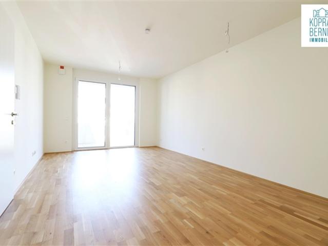 2 Zimmer Neubau Wohnung mit Traisenblick