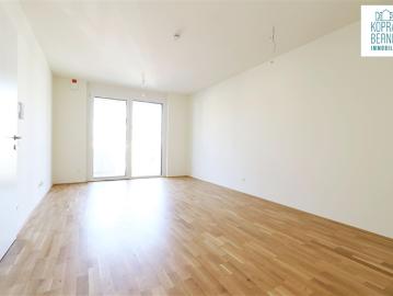 2 Zimmer Neubau Wohnung mit Traisenblick