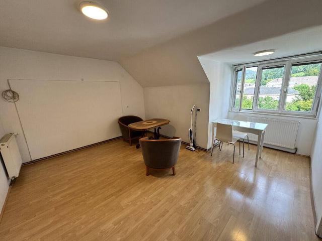 2 Zimmerwohnung in Kirchberg mit Gartenzugang