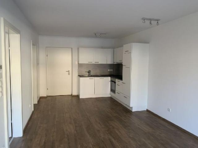 2 Zimmerwohnung in Uderns
