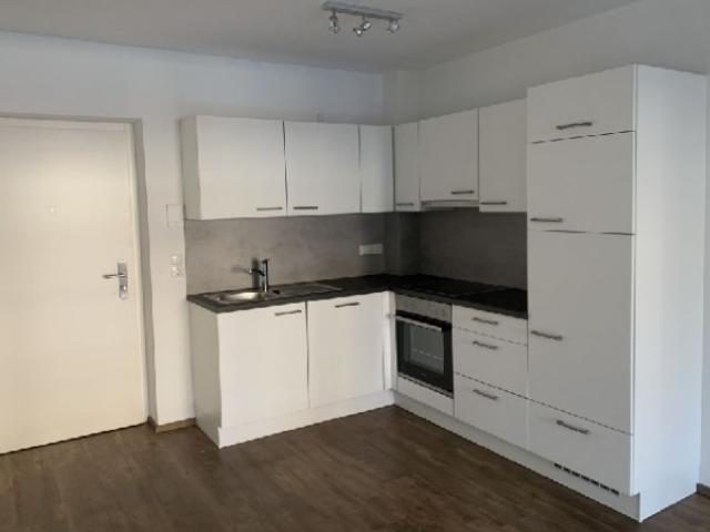 2 Zimmerwohnung in Uderns