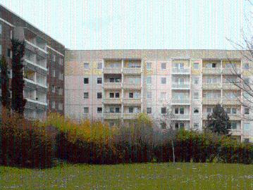 2 Zimmerwohnung mit Balkon sucht neuen Lieblingsbewohner