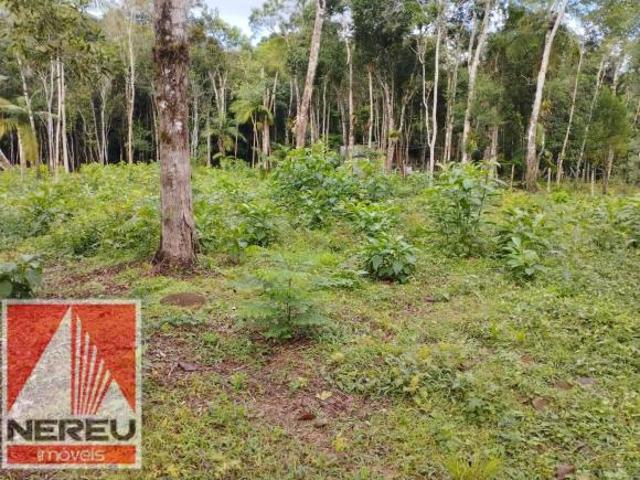 2.000M2 TERRENO 80% PLANO E DESMATADO EM JUQUITIBA/SP