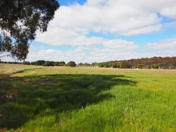 2.146HA 5.30 Acres Quality Block Unlimited Lifestyle Potential