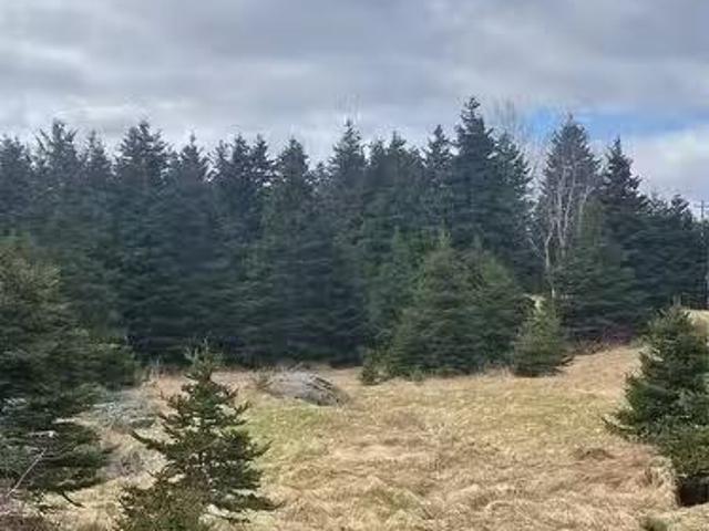 2 14 Southside Road, Harbour Grace, NL, A0A 2M0 vacant land.