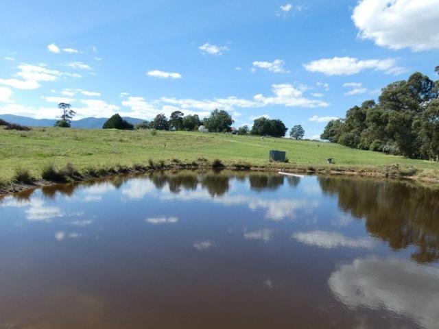 A UNIQUE COLLECTION OF 3 LOTS
