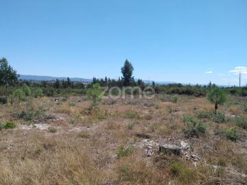 2,196m2 de terra em Paranhos Seia