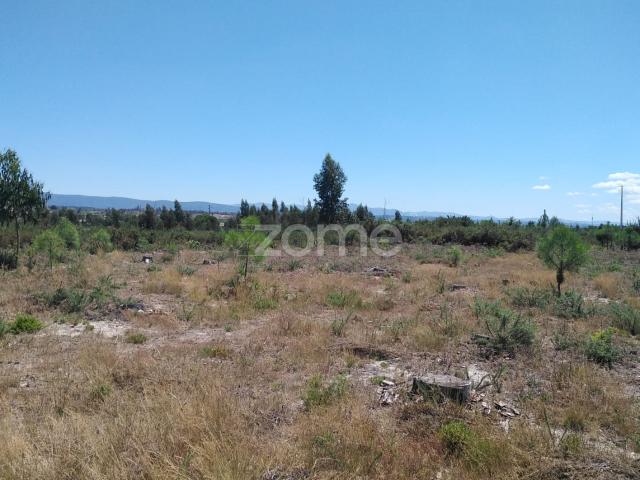 2,196m2 de terra em Paranhos Seia