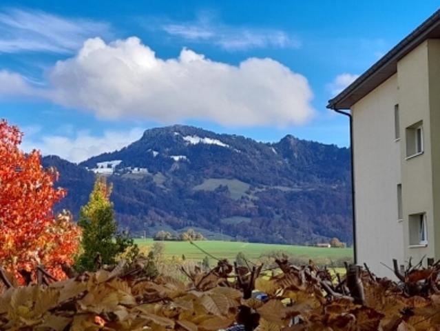 2 1/2 Zimmer in Marsens – mit schöner Terrasse!