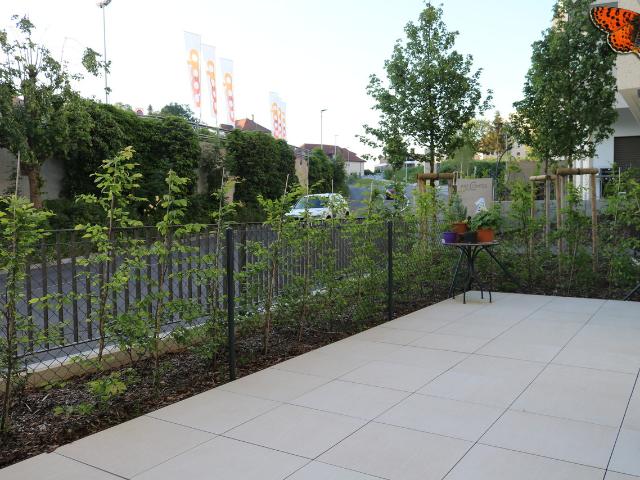 2 1/2 Zimmer in Romont mit einer großen Terrasse von 40 m²