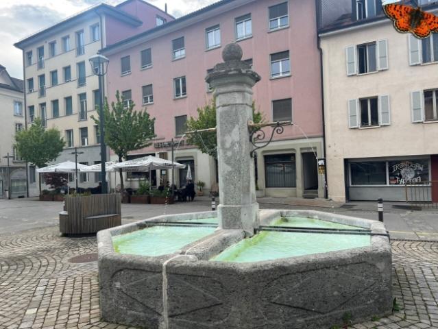 2 1/2 Zimmer – komplett renoviert in Romont!