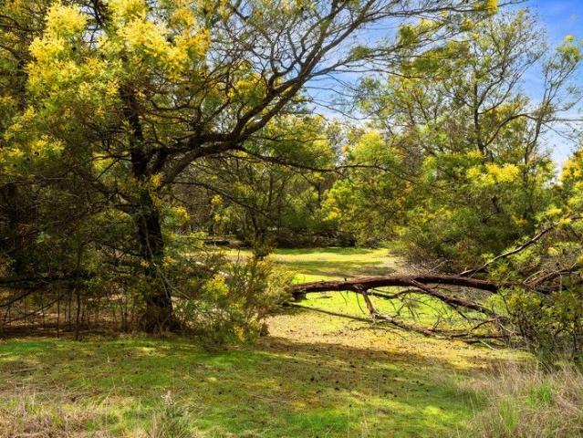 2.239HA 5.53 Acres Central Residential Development Opportunity