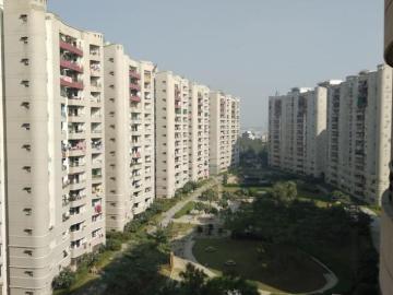 2.5 BHK Apartment in Vasundhara for rent Ghaziabad. The reference number is 20427078