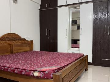 2.5 BHK Apartment in Whitefield for rent Bengaluru. The reference number is 20190535