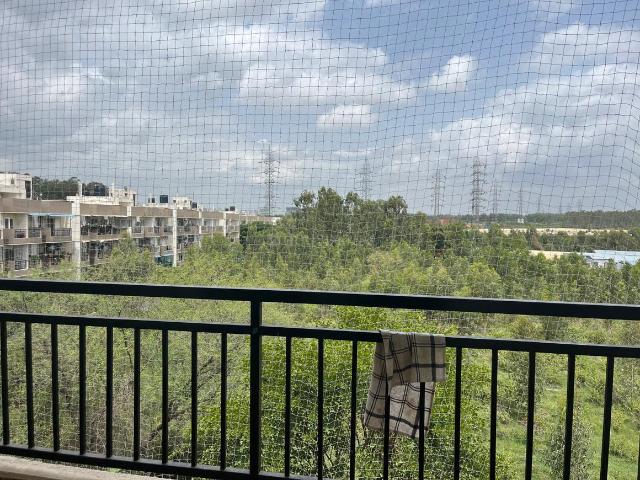2.5 BHK Apartment in Bhoganhalli for rent Bengaluru. The reference number is 20997569